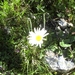 BILD4828
