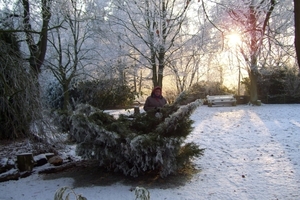 Kerstmis 2008 en Ijsdag 2009 013