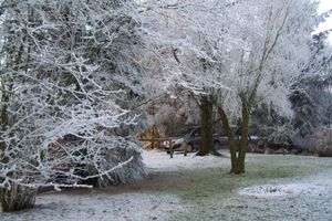 Kerstmis 2008 en Ijsdag 2009 015