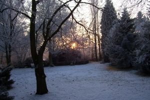 Kerstmis 2008 en Ijsdag 2009 025