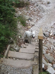 20080805 041 Slovenië Martuljek Wasserfälle