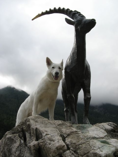 20080806 111 Slov naar Vrsic-Pass