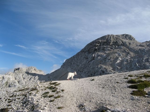 20080810 339 Slov Triglav-overschrijd