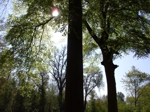 BILD0081