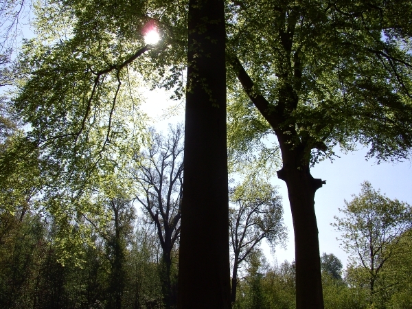 BILD0081