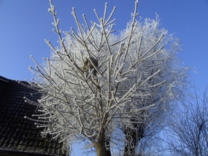 2222009 041