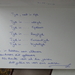 temse boottocht 020