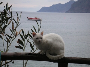 Mochlos Kreta