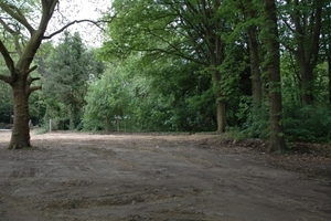 veel van die oude bomen zullen ook sneuvelen