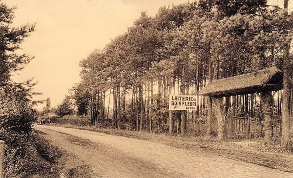 bois fleuri rond 1930