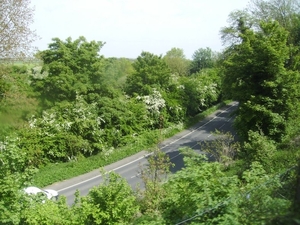 91