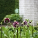 IMG_1032