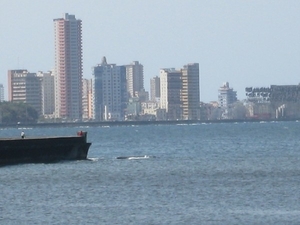 CUBA 2008 246