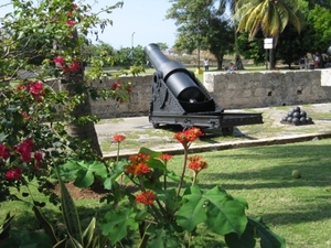 CUBA 2008 254