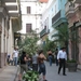 CUBA 2008 275