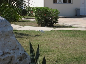CUBA 2008 311