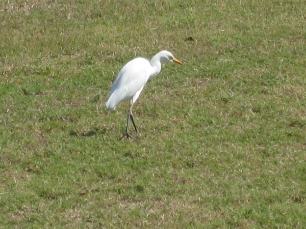 CUBA 2008 312