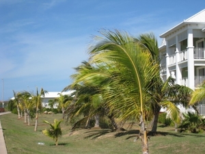 CUBA 2008 343