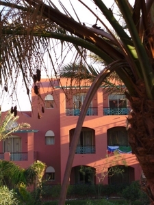 Reis Egypte 2007 089