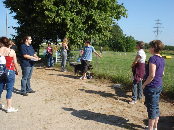 Examendag BEG Hondenschool KC de Batouwe  04-07-09 1553