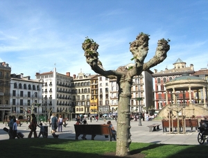 pamplona (1)