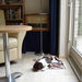 Arcil, 12-10-08 322