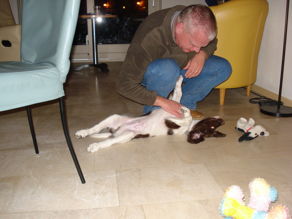 Arcil met baasje, 31-10-08 397