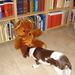 Arcil, 14-11-08 433