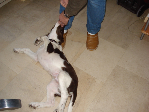 Arcil, 28-11-08 488