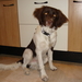 Arcil, 20-02-09 790