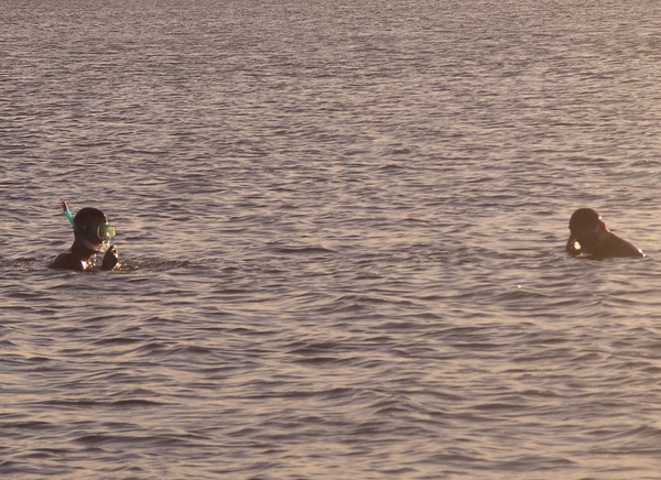 019gsb.Diep in gedachten.