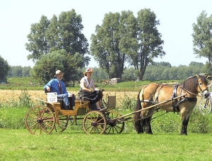 098gsb.Diep in gedachten.