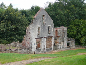 P1000636