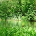 20090517_17
