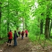 20090517_3
