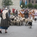 2009 Hanswijkprocessie 158