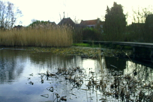 Park in Poperinge