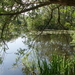 Vestig Ieper