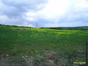 De Cevenne