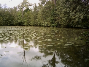 Afbeelding 077