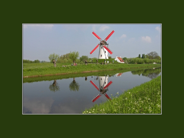 Molen aan Damse vaart