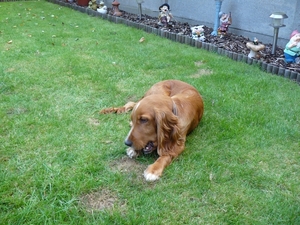 Nieuwe aanwinst BOY 015