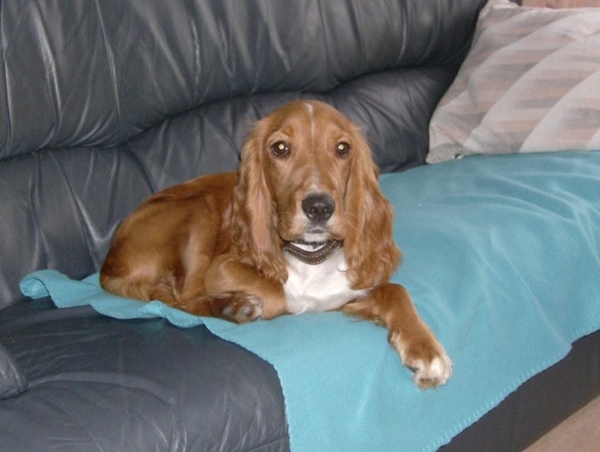 Nieuwe aanwinst BOY 016