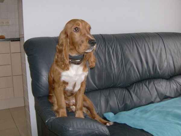 Nieuwe aanwinst BOY 017