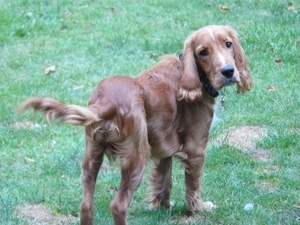 Nieuwe aanwinst BOY 018