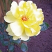 Gele roos