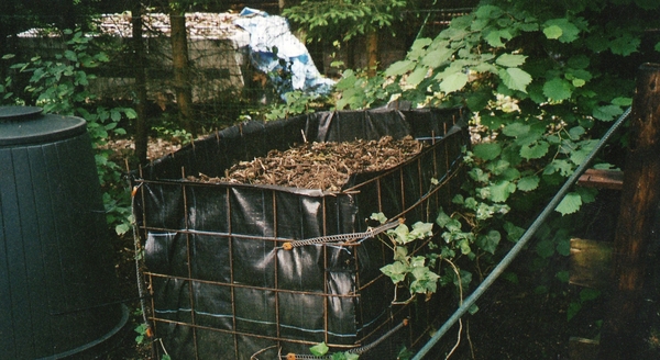 toekomstige bloemenbak