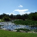 2007_0324Botanicalgarden20070037