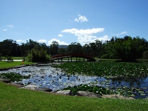 2007_0324Botanicalgarden20070037