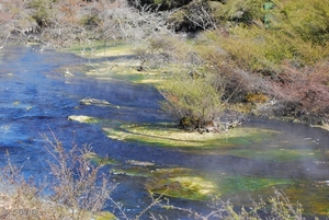 2009-03-25 Lake Taup 0 (53)